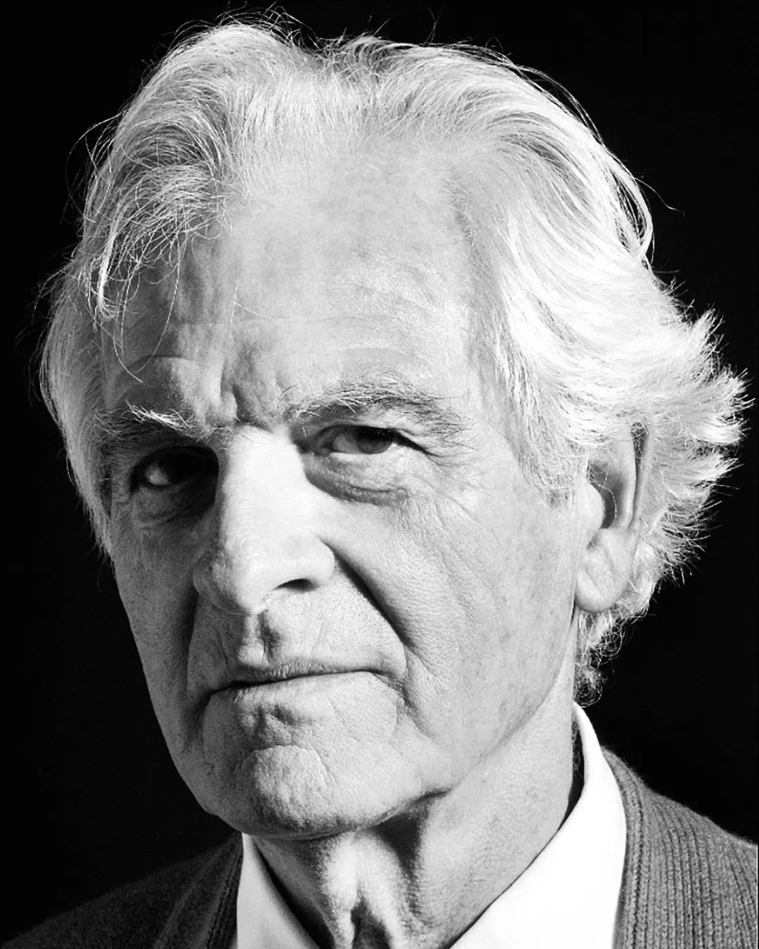 pierre paulin profile