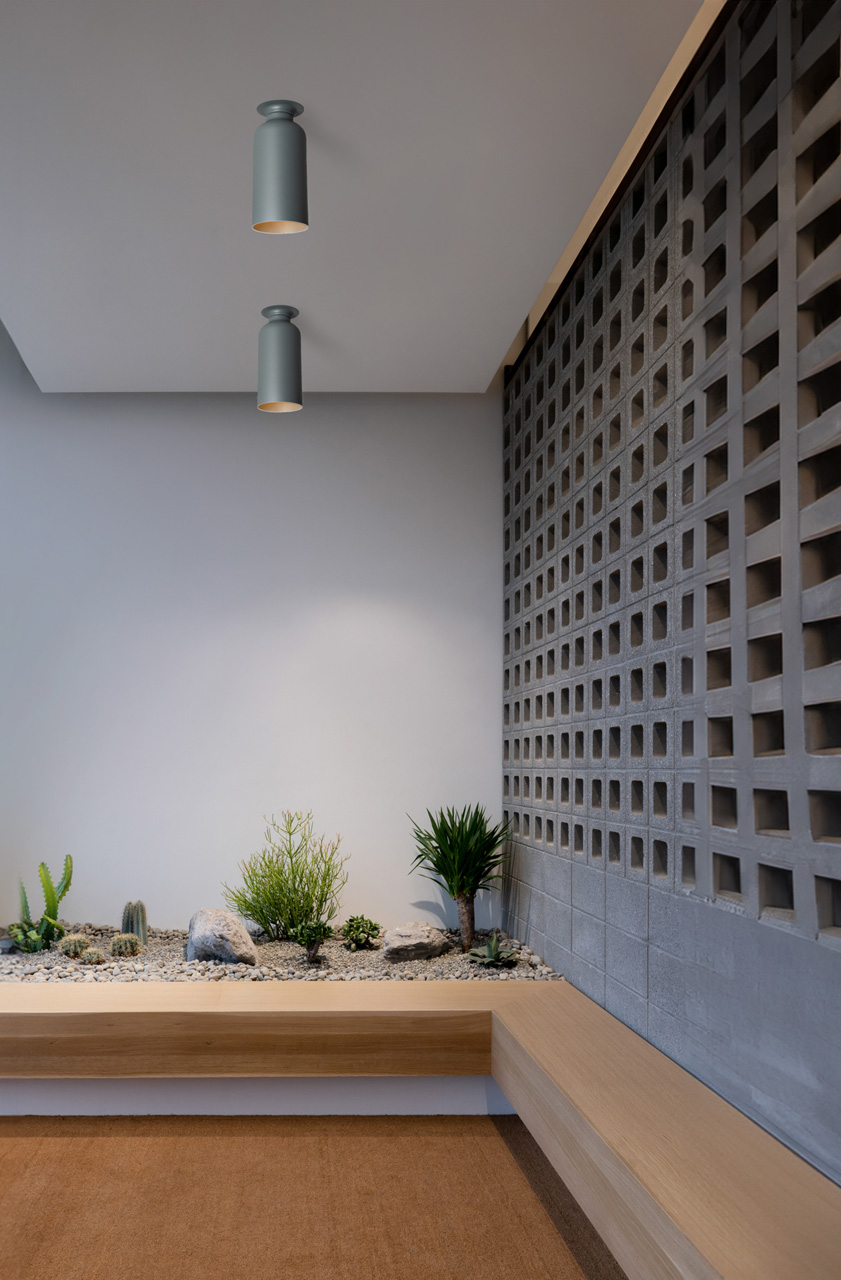 a n d spotlight volumes series by lukas peet
