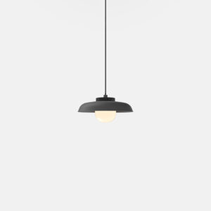 rbw hoist pendant product 2