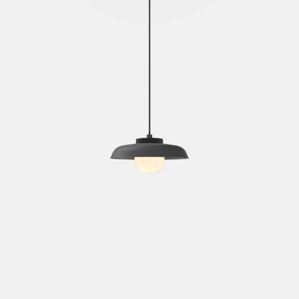 rbw hoist pendant product 2