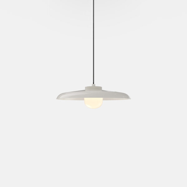 rbw hoist pendant product 4