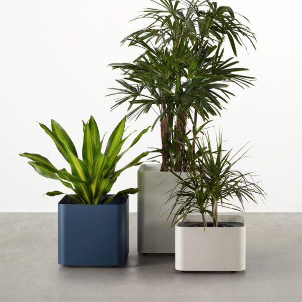 tait softline planter product 2